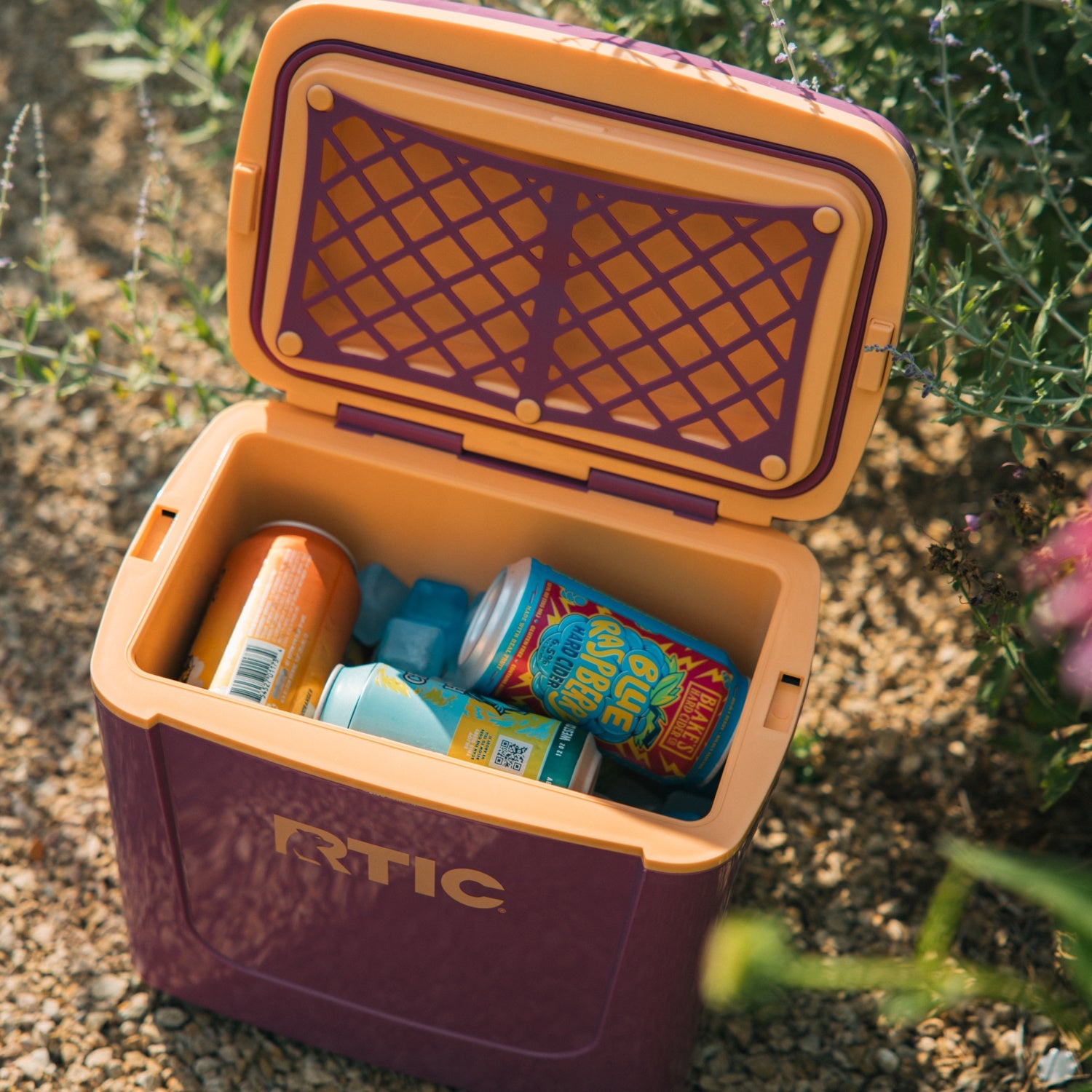 8 QT Road Trip Personal Cooler (8GEZ)