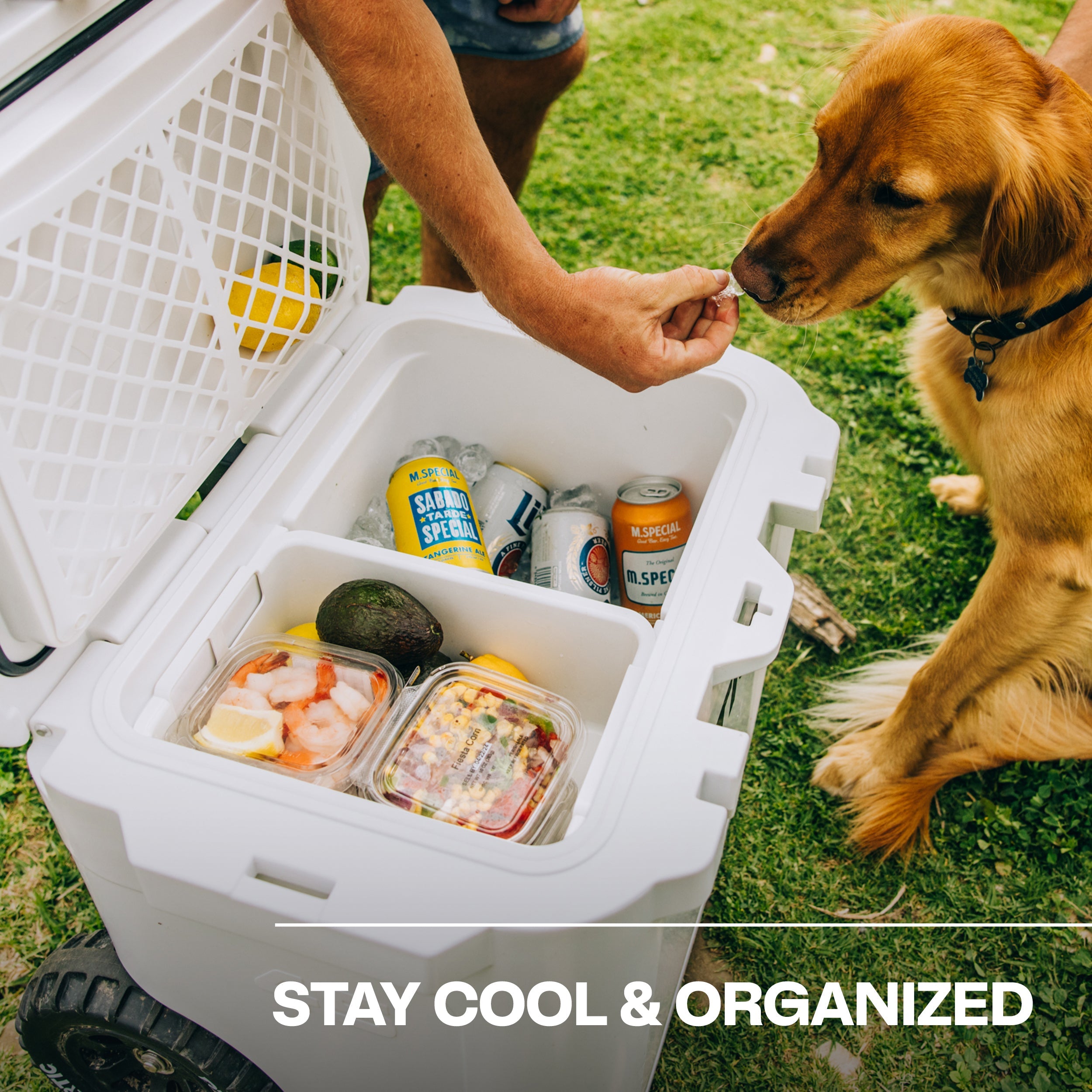 45 QT Ultra-Tough Wheeled Cooler (GW95)